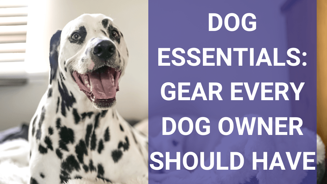 20 Large Breed Dog Items Every Big Dog Owner Needs