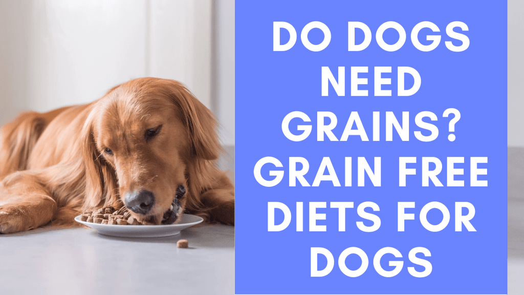 What grains should dogs eat sale