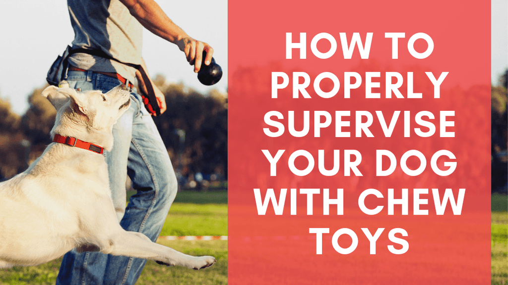 https://www.monsterk9.com/cdn/shop/articles/how-to-properly-supervise-your-dog-with-chew-toys-686366.png?v=1664847175&width=1024