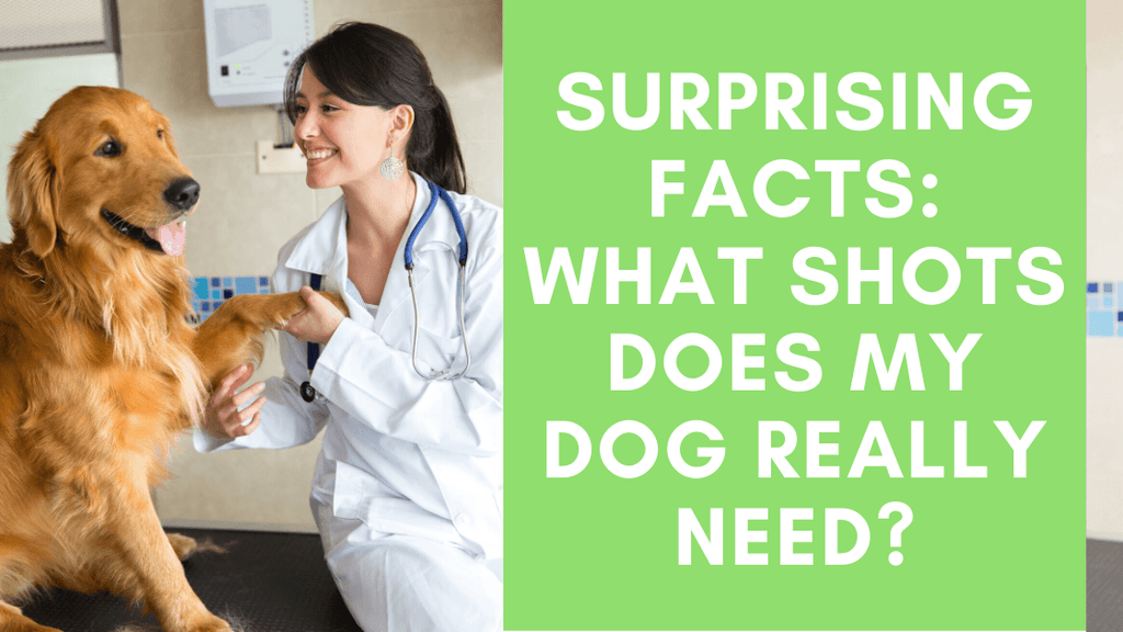 what vaccinations do dogs really need