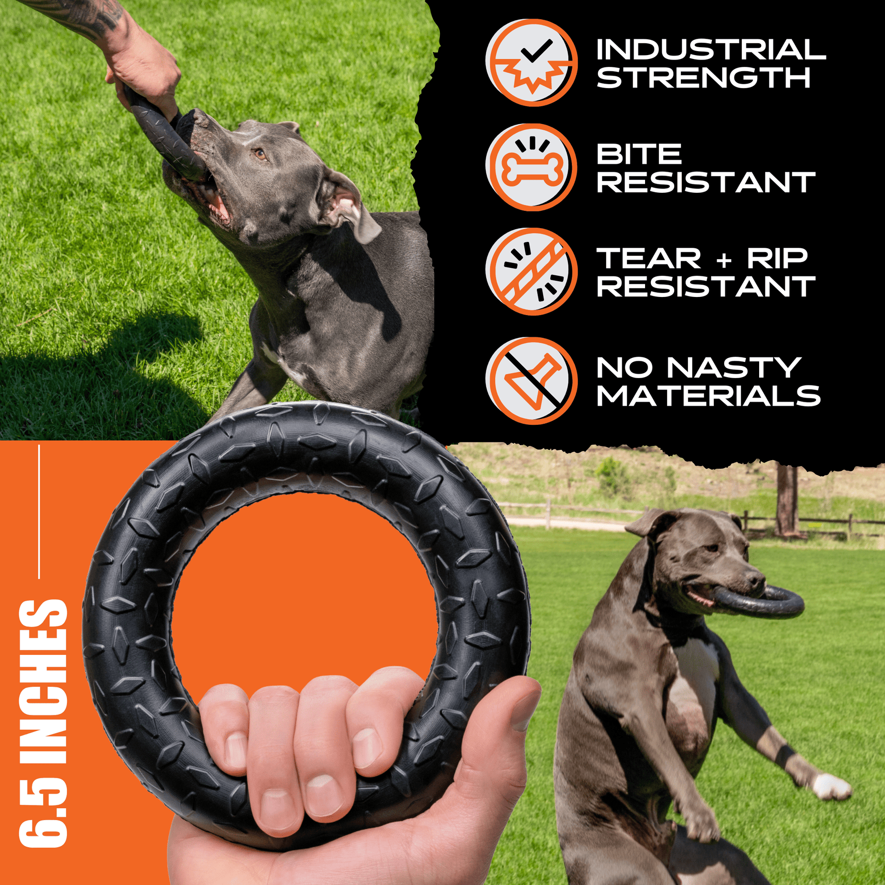 Ultra Durable Chew Ring Toy Lifetime Replacement Guarantee