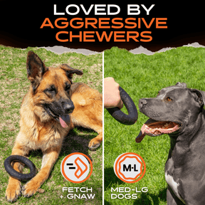 CHEW RING - Monster K9 Dog Toys