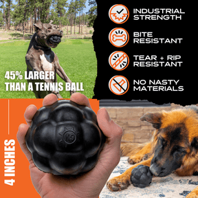 Treat Ball - Monster K9 Dog Toys